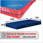 МАТ СПОРТИВНЫЙ Boyko-sport в чехле из ткани ВИНИЛИС КОЖА 20х100х200 фото